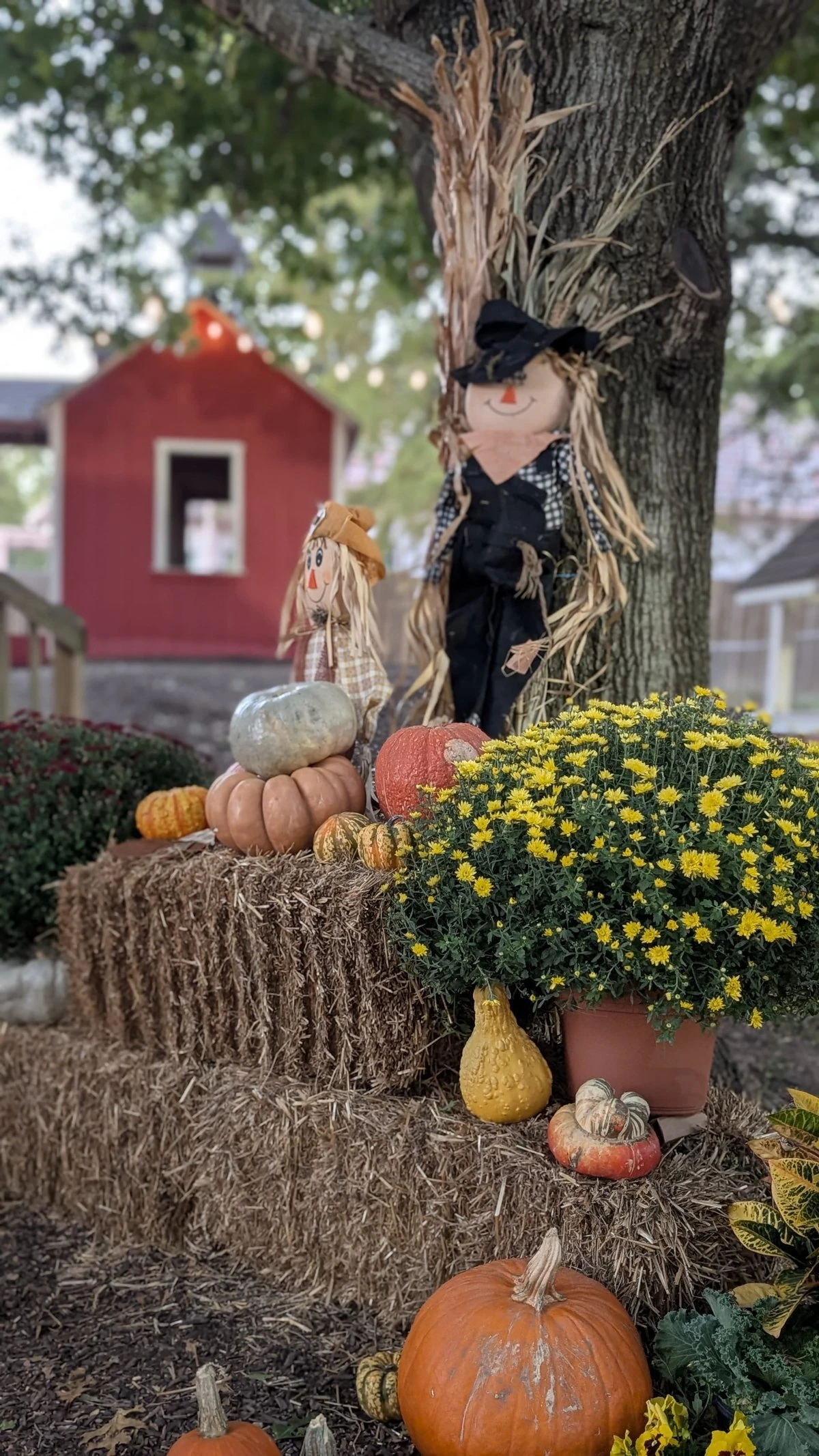 Families exploring books at school book fair