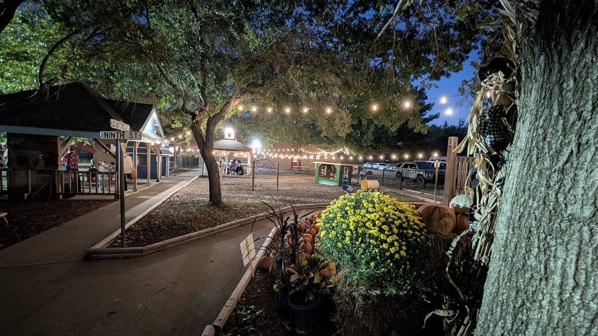 Children participating in school sports day activities